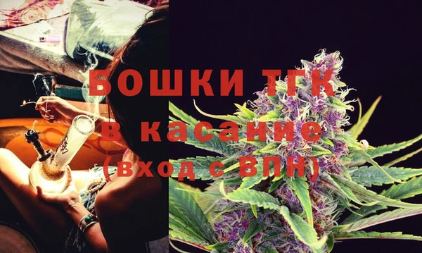 стаф Богородск