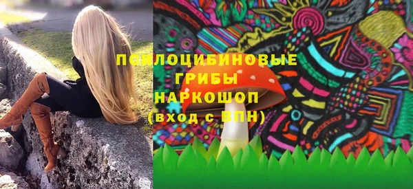 стаф Богородск