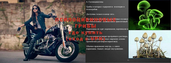 каннабис Богородицк