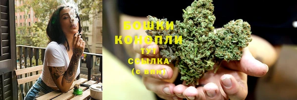 стаф Богородск