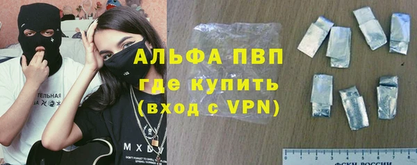 стаф Богородск