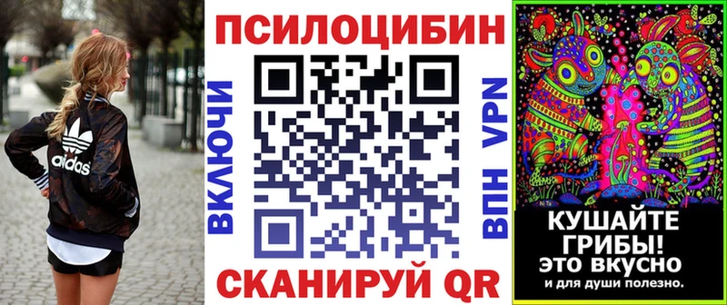 кракен маркетплейс Кондопога Галлюциногенные грибы ЛСД закладка